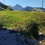 Grueneggli Apartment Adelboden