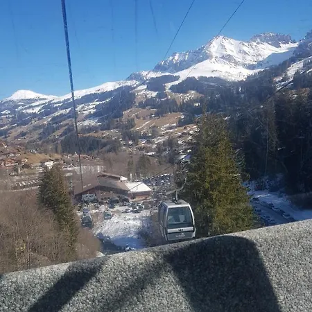 Grueneggli Appartamento *