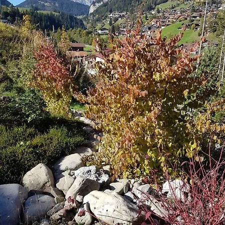 Grueneggli Adelboden