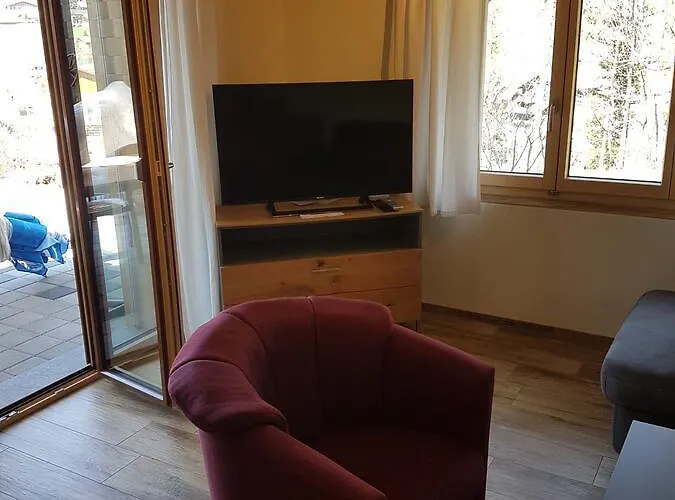 Apartment Grueneggli *