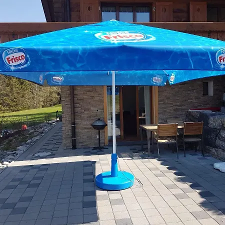 Grueneggli Apartment Adelboden