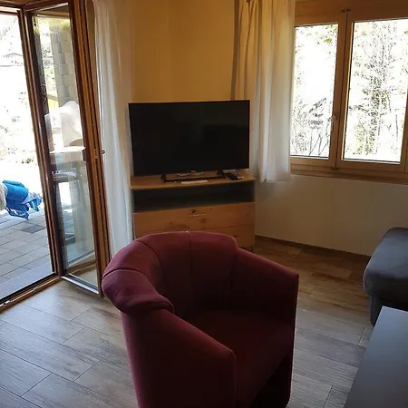 Apartment Grueneggli *