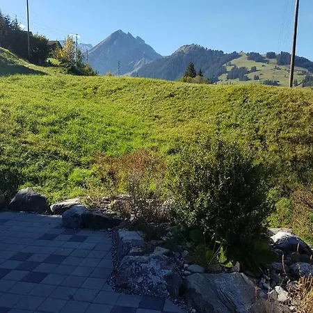 Grueneggli Apartment Adelboden